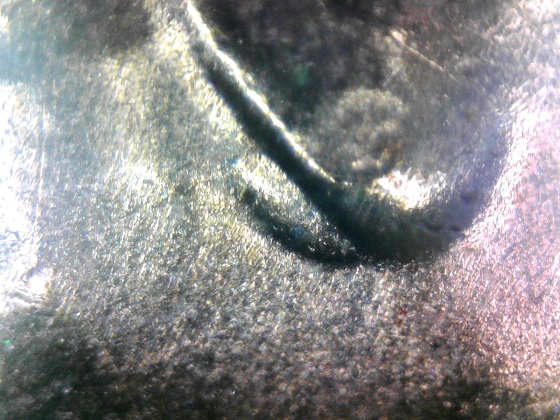 2015-D-LSC-DDO-Double-Ear-Variety-My-Second-One-Found.